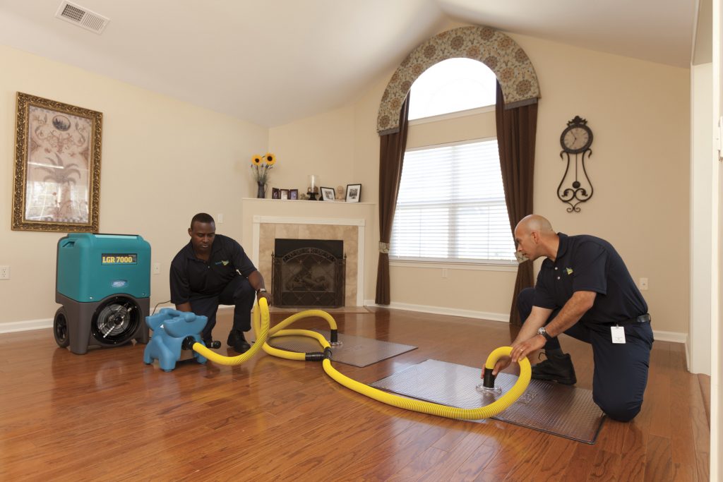 Hiring-a-Professional-Water-Damage-Service