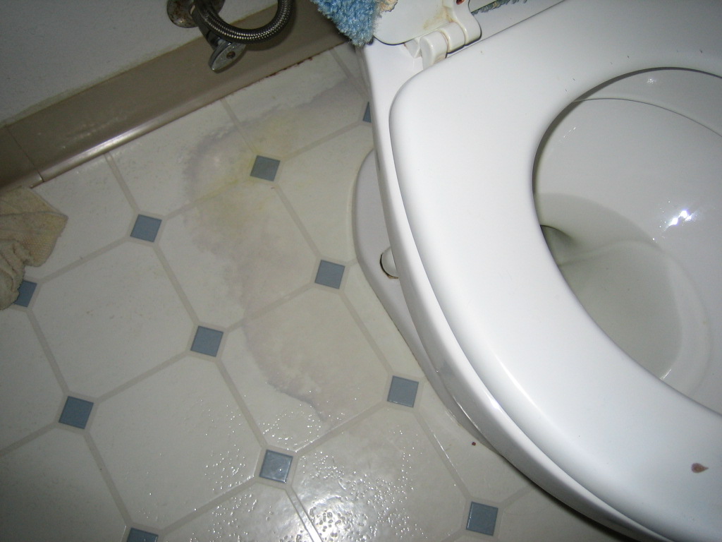 bathroom-leaks