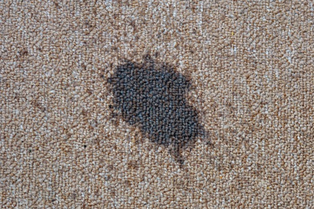 carpet-stain