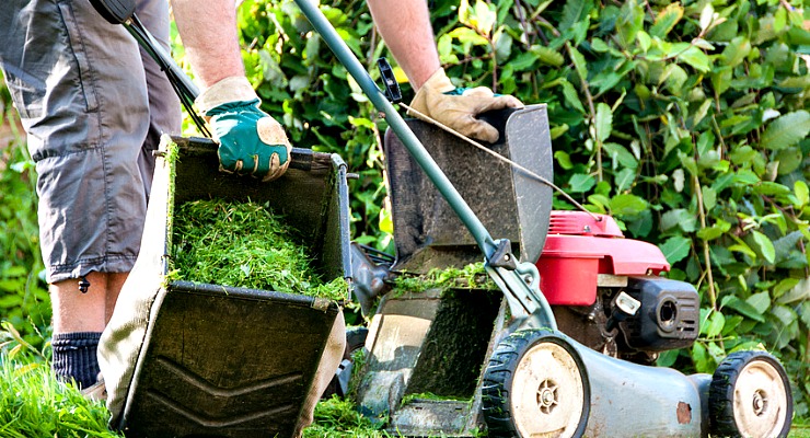 Outsourced-Landscaping-Service-for-Garden