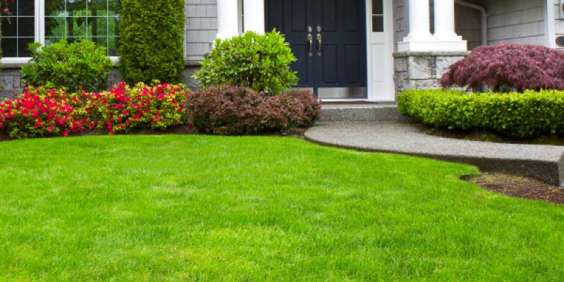 beginners-guide-to-lawn-care