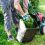 What Does A Lawn Care Service Do?