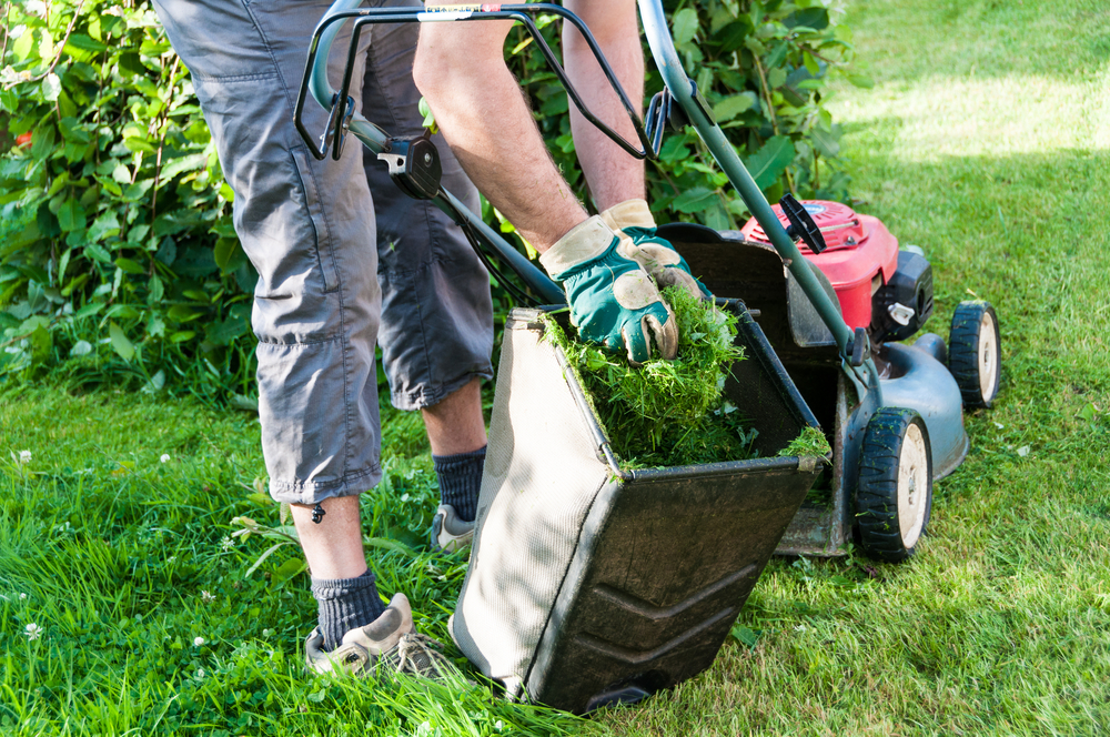 What Does A Lawn Care Service Do