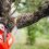 3 Precautions before Cutting Trees