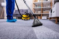 Clean Carpet - Routine Maintenance