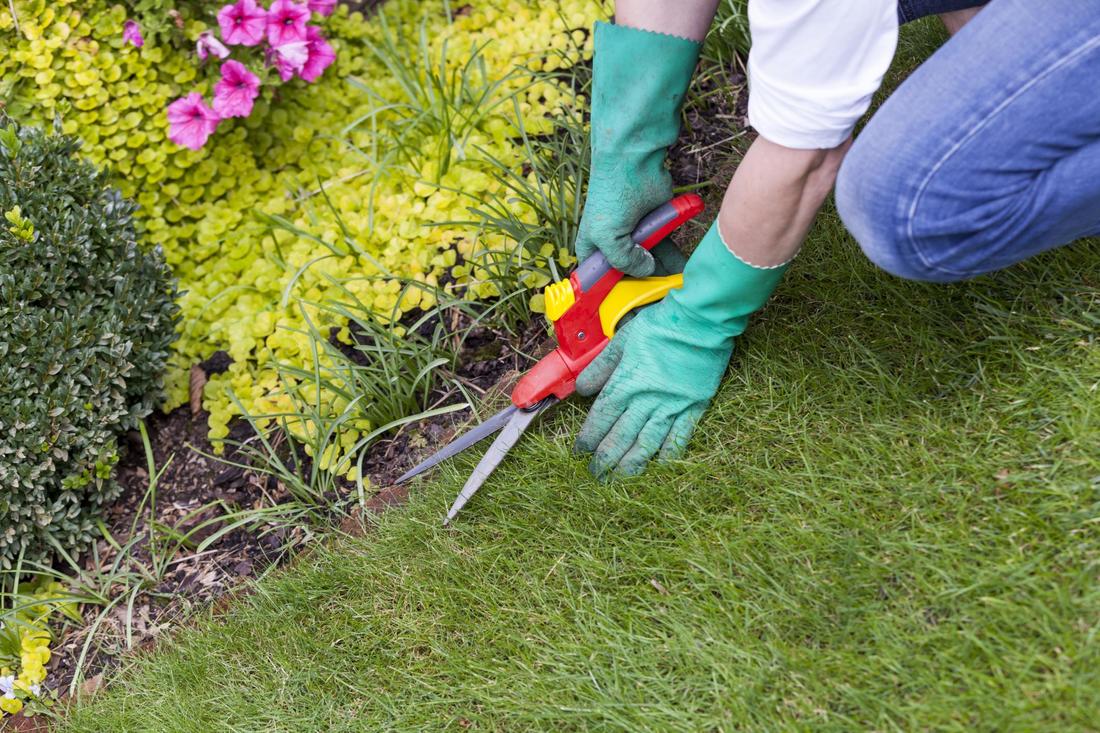 Unique Landscaping Ideas Worth Trying - Landscaping Services Long Island