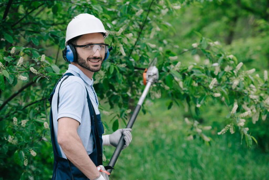 Precision Arborcare